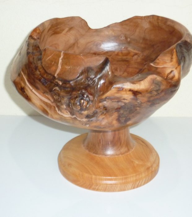Coppa in radice di melo