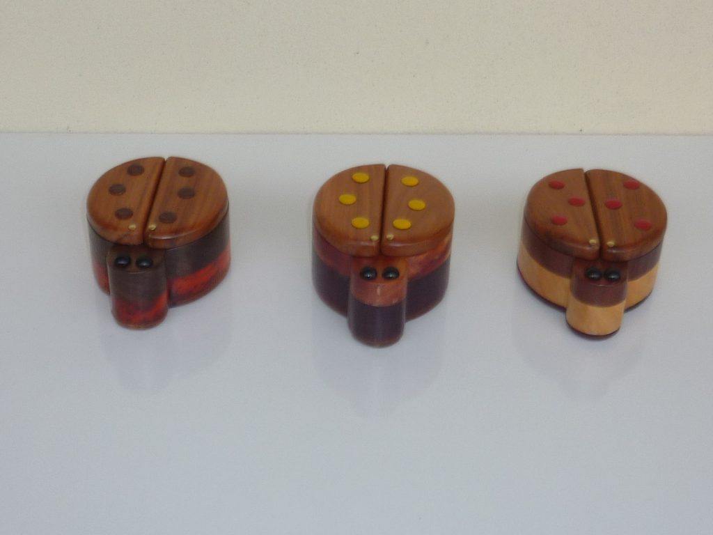 Coccinelle portagioie