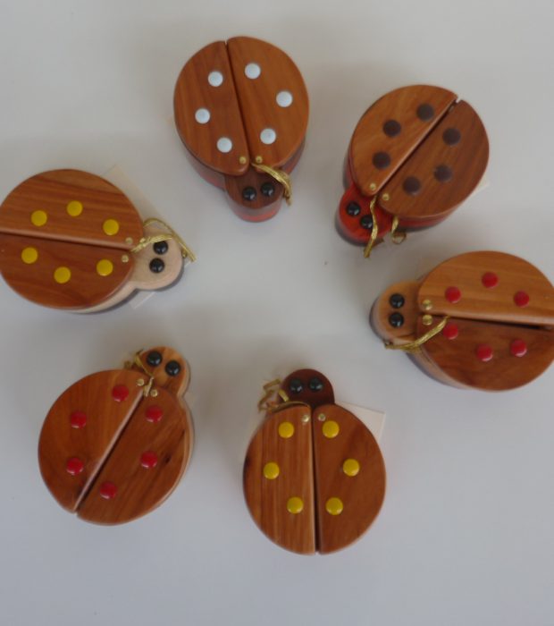 Coccinelle portagioie