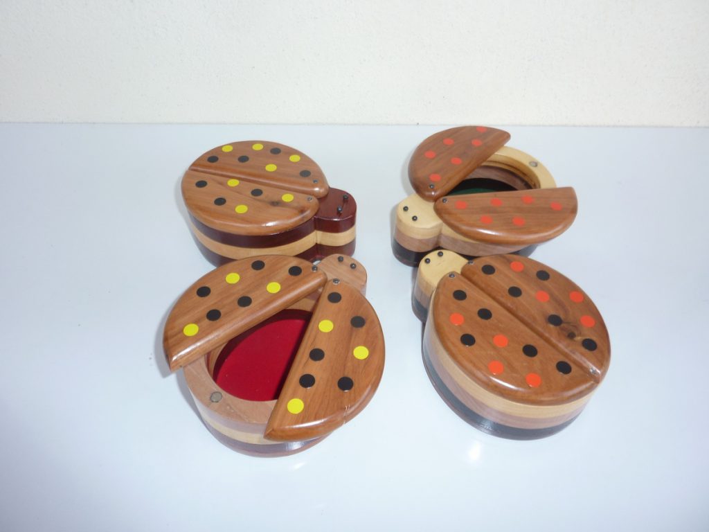 Portagioie coccinelle