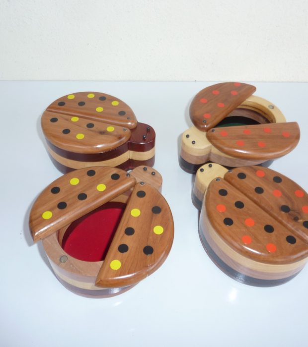 Portagioie coccinelle