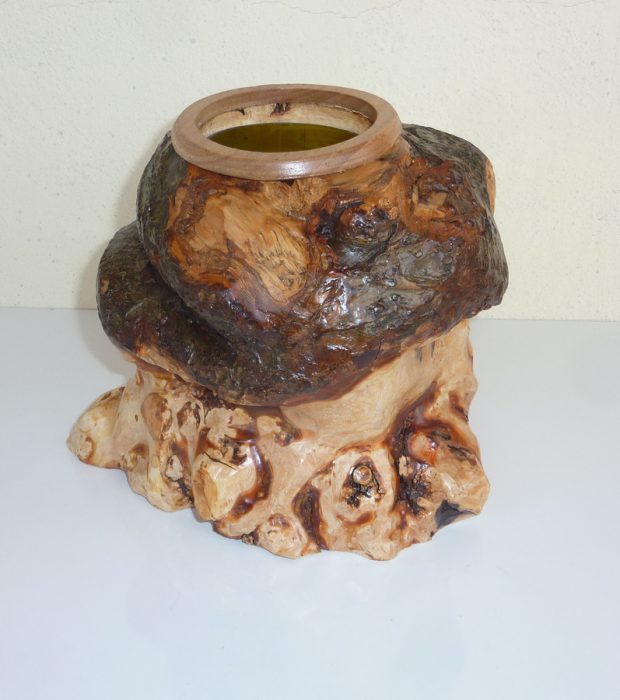 Radice melo 1
