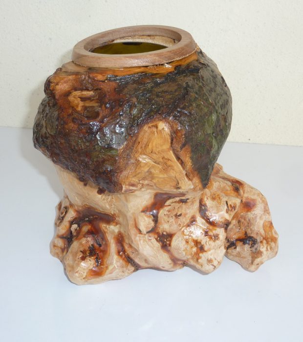 Ceppo- radice  vaso per fiori